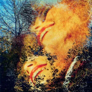 See those colours fly